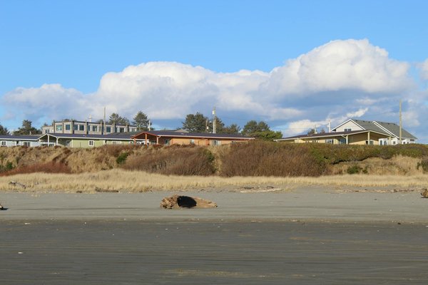 Unveil the enchantment of an authentic british country fair in rural england's heartland