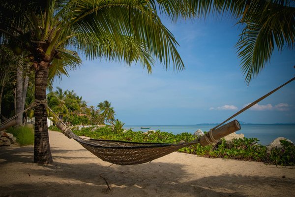 Discover extraordinary uk spots for unforgettable low tide fossil hunting tours